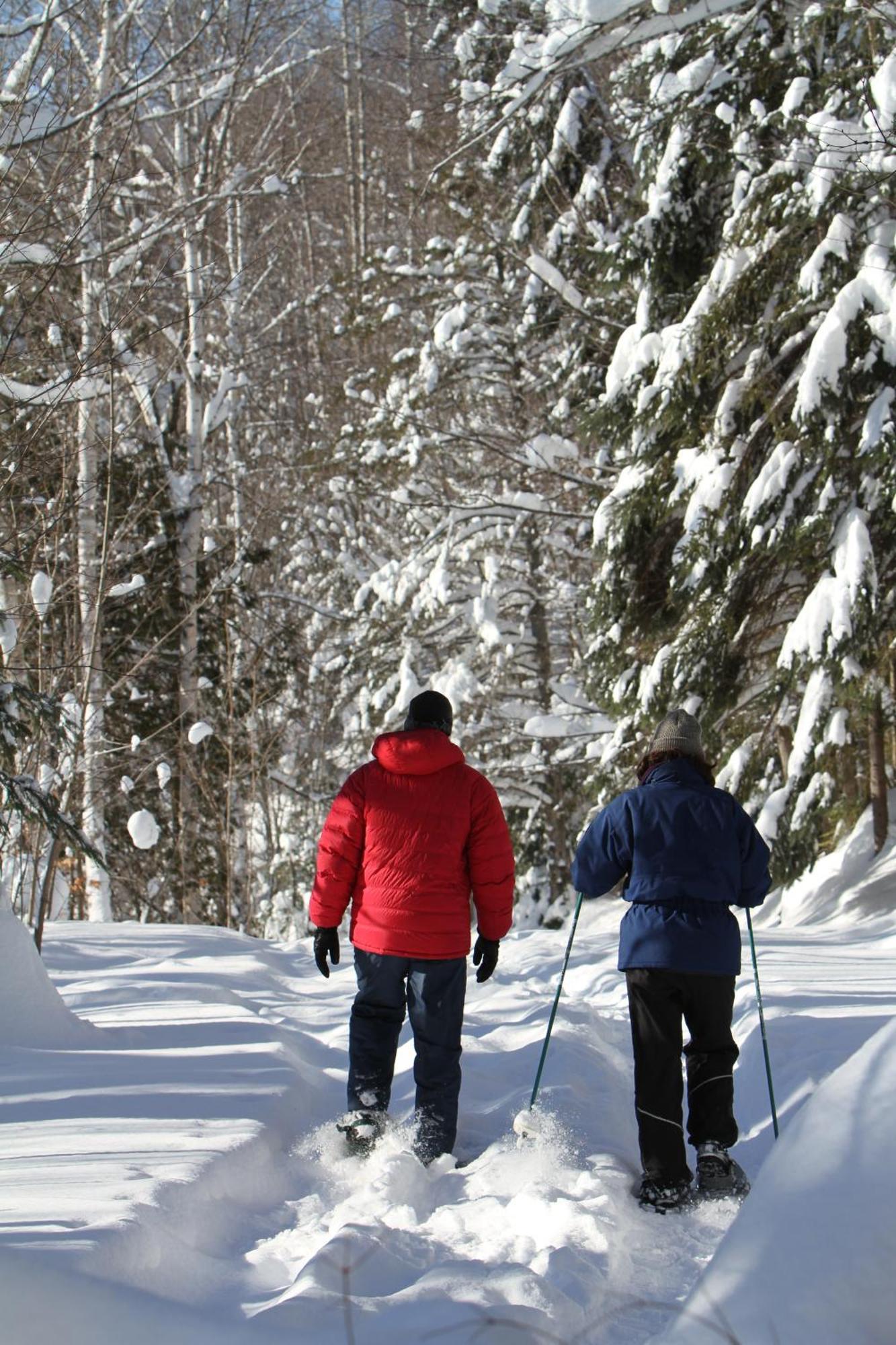Les Cabanes Du Trappeur Wentworth-Nord Екстер'єр фото