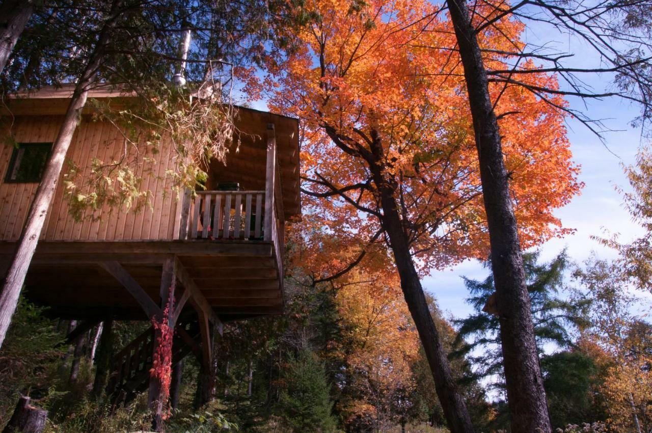 Les Cabanes Du Trappeur Wentworth-Nord Екстер'єр фото
